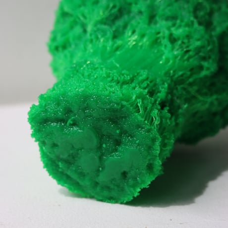 "Tact Inoue" Polybroccoli - M -  237g
