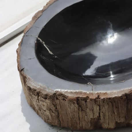 " OAK ” Petrified Wood Accessory Tray - S #440