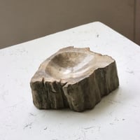 " OAK ” Petrified Wood Accessory Tray - S #433
