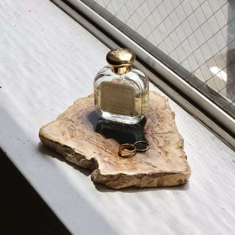 " OAK ” Petrified Wood Plate - S