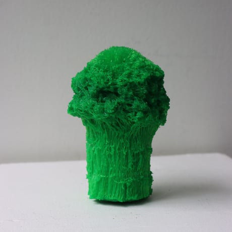 "Tact Inoue" Polybroccoli - S -  131g