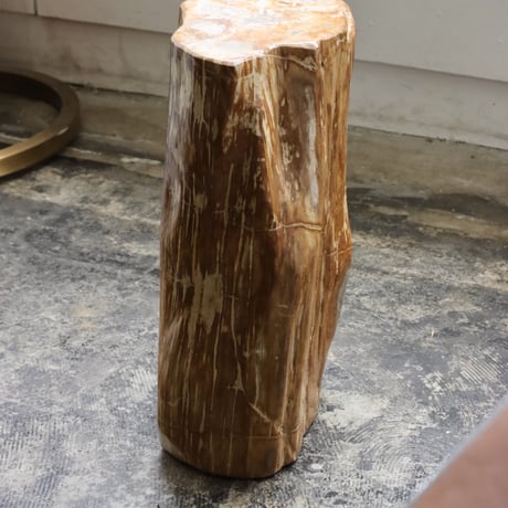 " OAK ” Petrified Wood Stool #004