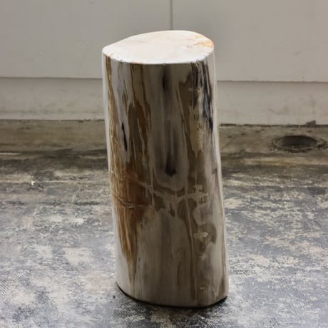 " OAK ” Petrified Wood Stool #003