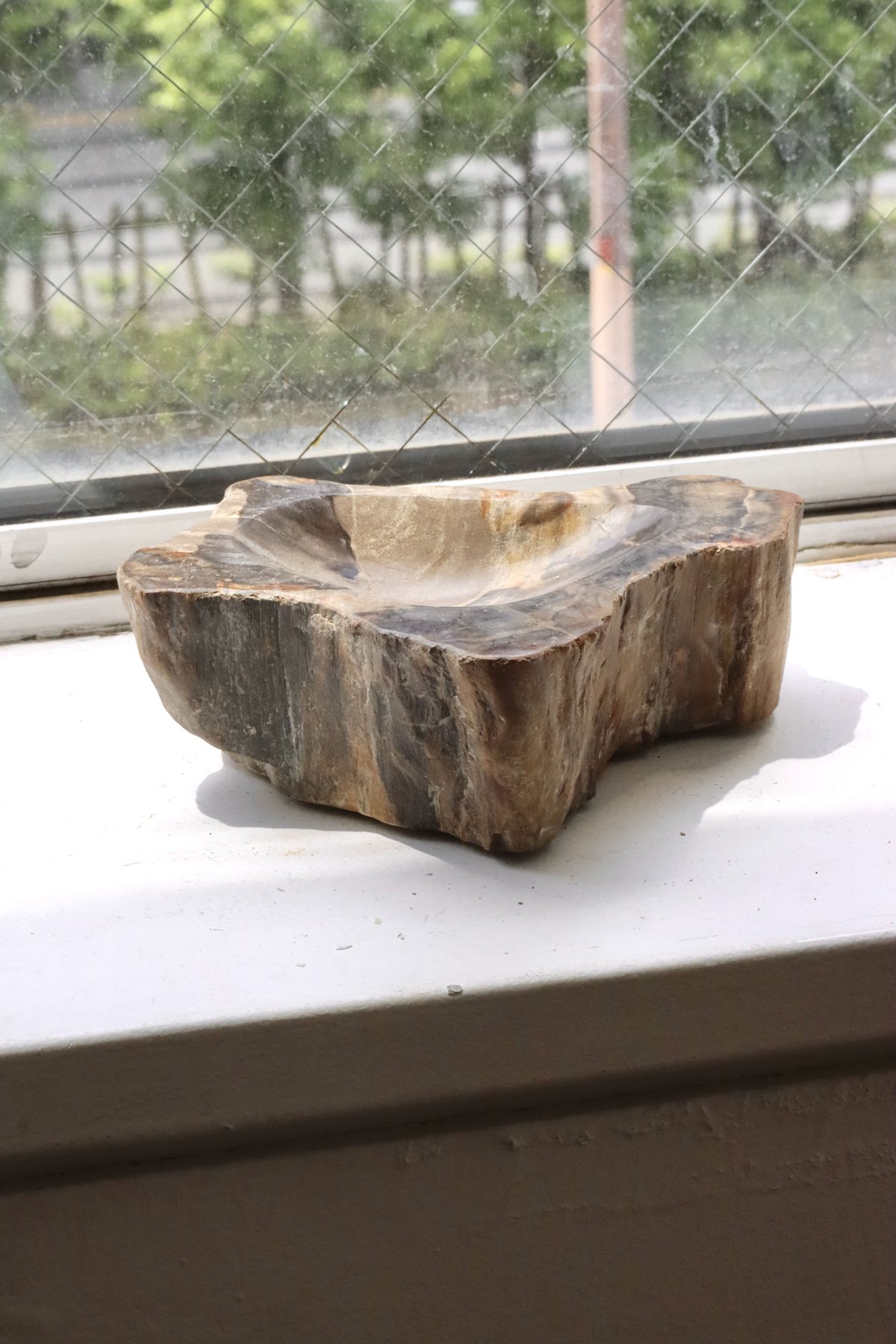 OAK ” Petrified Wood Accessory Tray - S #423