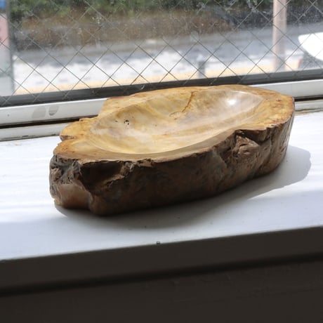 " OAK ” Petrified Wood Accessory Tray - M #406