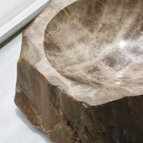 " OAK ” Petrified Wood Accessory Tray - S #444