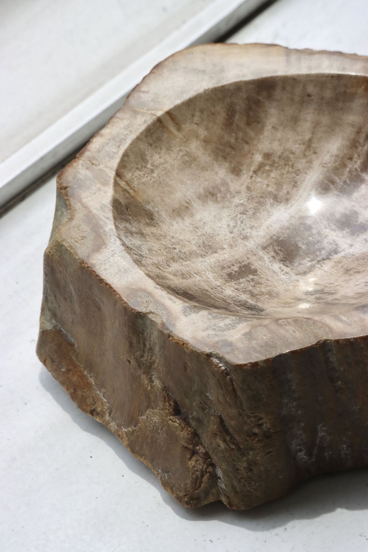 OAK ” Petrified Wood Accessory Tray - S #444