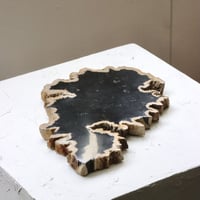 " OAK ” Petrified Wood Plate - M #102