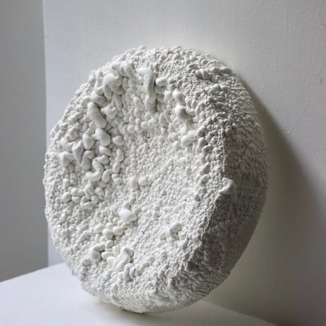 " Ryota Akiyama " Crack and Shrink