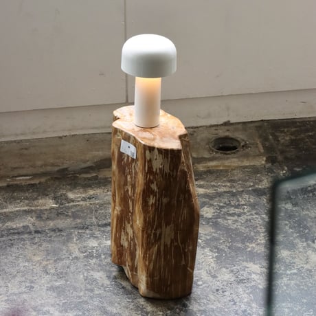 " OAK ” Petrified Wood Stool #004