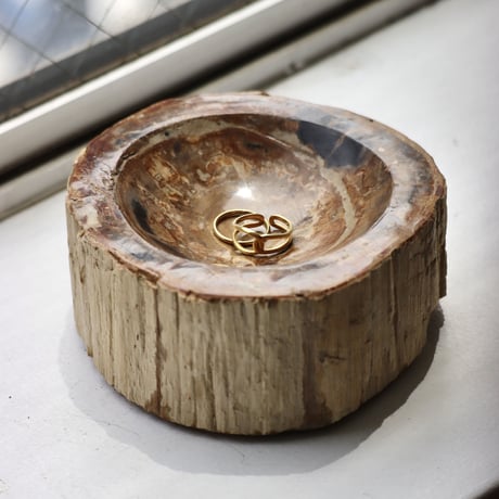 " OAK ” Petrified Wood Accessory Tray - S  #424