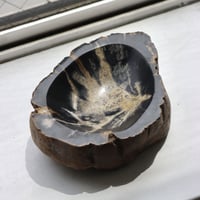 " OAK ” Petrified Wood Accessory Tray - #430
