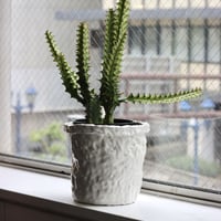 "SHOKKI" Planter