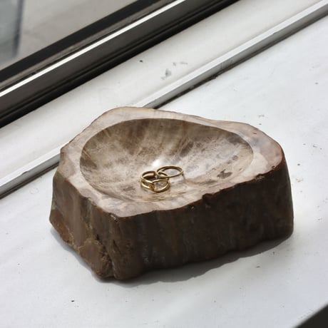 " OAK ” Petrified Wood Accessory Tray - S #444