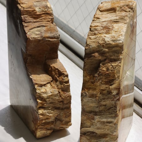 " OAK ” Petrified Wood Bookend - M #001