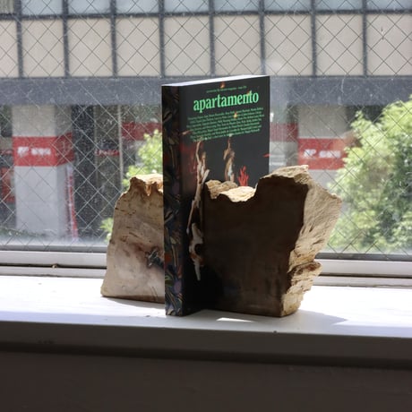 " OAK ” Petrified Wood Bookend - M #002