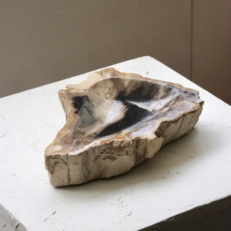 " OAK ” Petrified Wood Accessory Tray - M #415