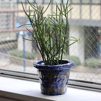 "SHOKKI" Planter
