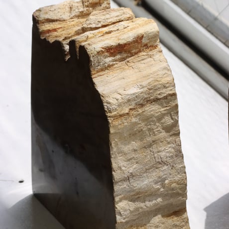 " OAK ” Petrified Wood Bookend - M #002