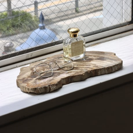 " OAK ” Petrified Wood Plate - M #104