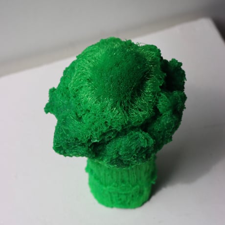 "Tact Inoue" Polybroccoli - M -  301g