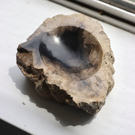 " OAK ” Petrified Wood Accessory Tray - S #408