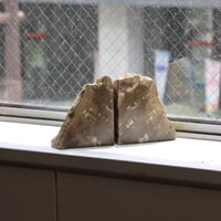 " OAK ” Petrified Wood Bookend - S #001