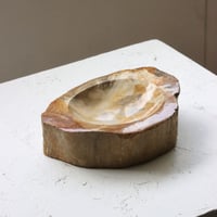 " OAK ” Petrified Wood Accessory Tray - M #402