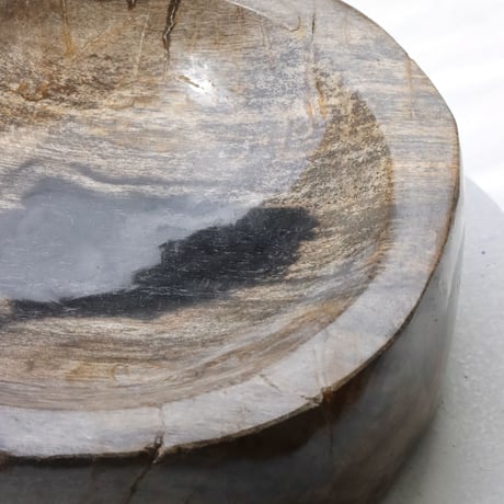 " OAK ” Petrified Wood Accessory Tray - M #414