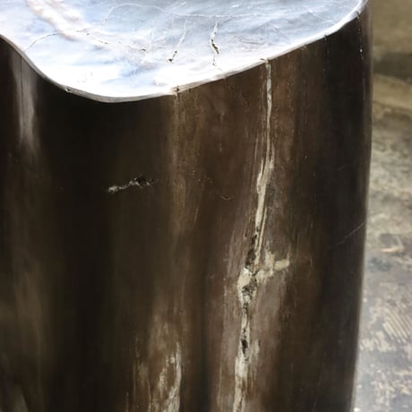 " OAK ” Petrified Wood Stool #001