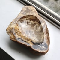 " OAK ” Petrified Wood Accessory Tray - M #405