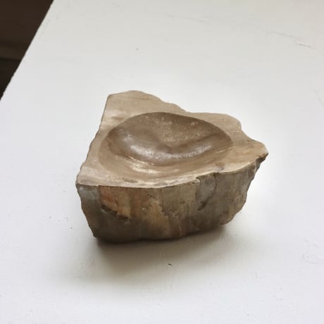 " OAK ” Petrified Wood Accessory Tray - S #441