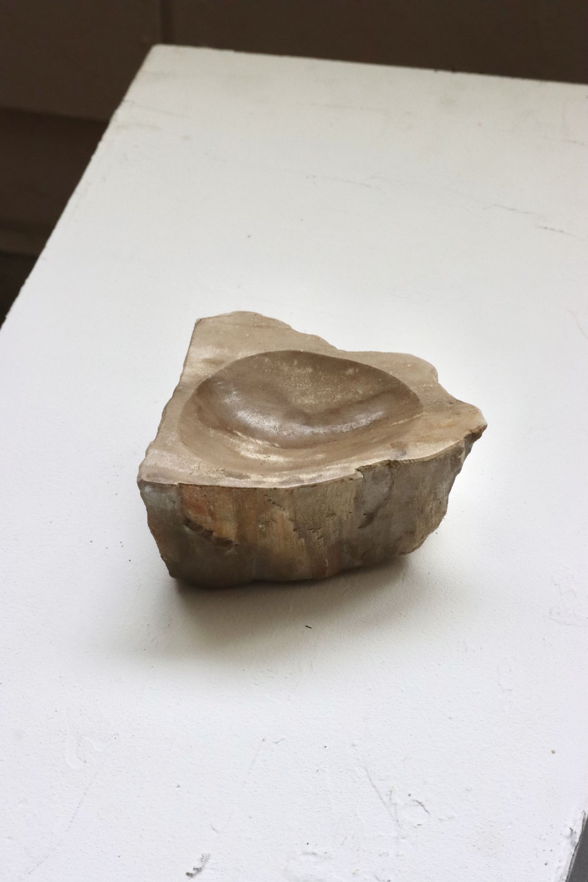 OAK ” Petrified Wood Accessory Tray - S #441