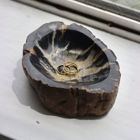 " OAK ” Petrified Wood Accessory Tray - S #430