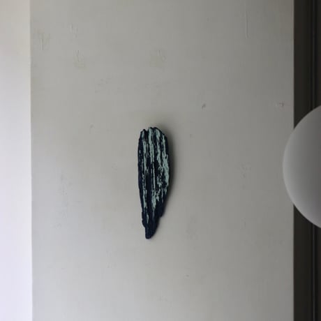 " Daiki Tado " Nature or Nurture