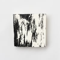 " Daiki Tado " Nature or Nurture