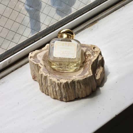 " OAK ” Petrified Wood Accessory Tray - S #431