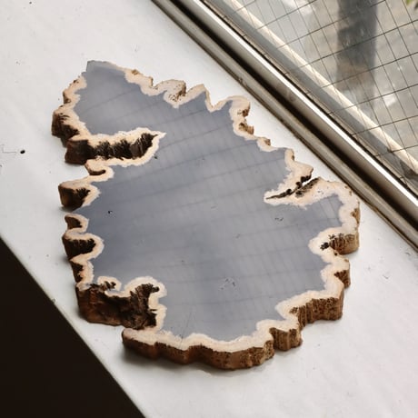 " OAK ” Petrified Wood Plate - M #102