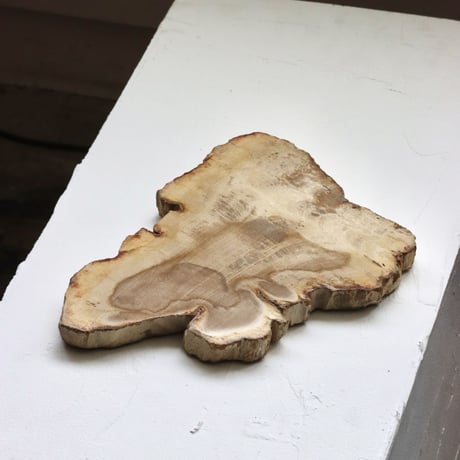 " OAK ” Petrified Wood Plate - S