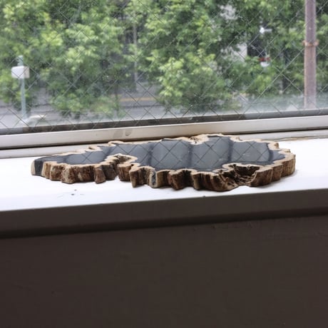 " OAK ” Petrified Wood Plate - M #102