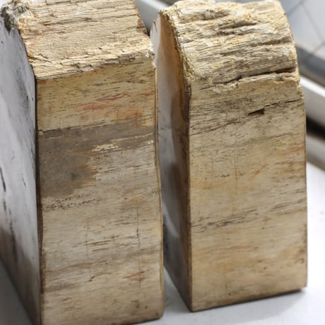 " OAK ” Petrified Wood Bookend - S #002