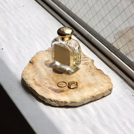 " OAK ” Petrified Wood Plate - S
