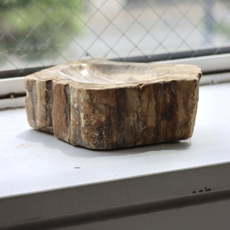 " OAK ” Petrified Wood Accessory Tray - S #426