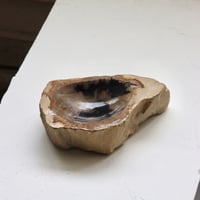 " OAK ” Petrified Wood Accessory Tray - S #442
