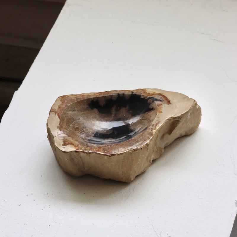 OAK ” Petrified Wood Accessory Tray - S #442