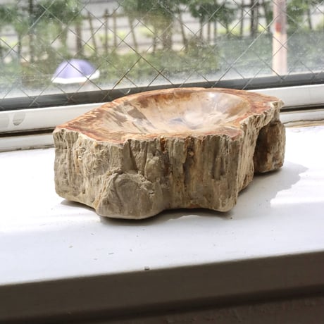 " OAK ” Petrified Wood Accessory Tray - S  #422