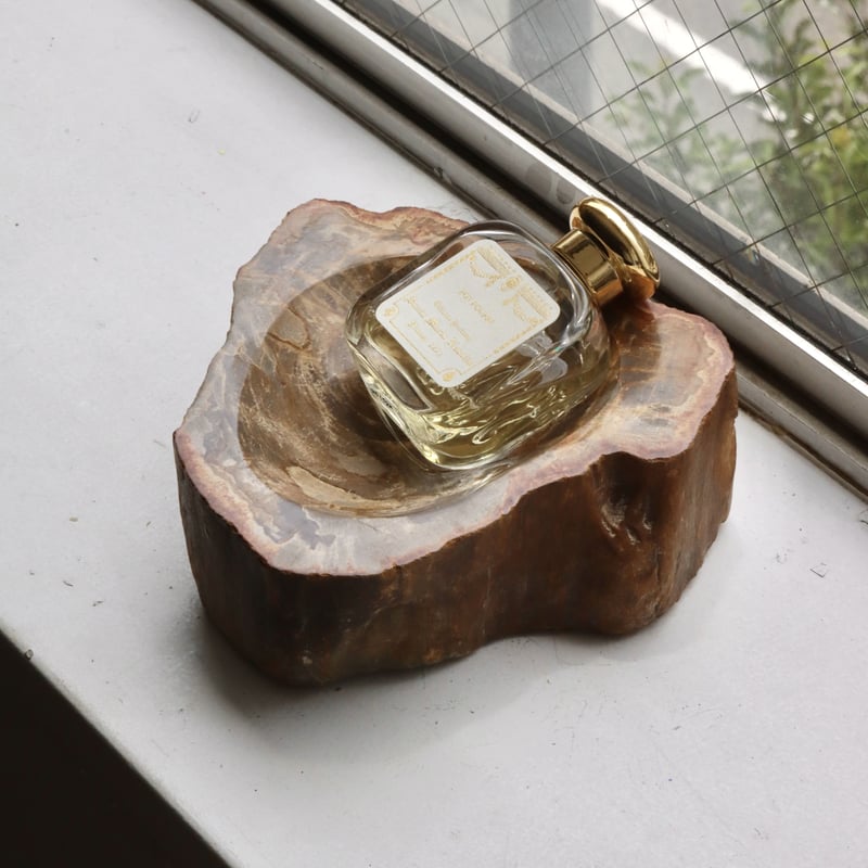 OAK ” Petrified Wood Accessory Tray - M #411