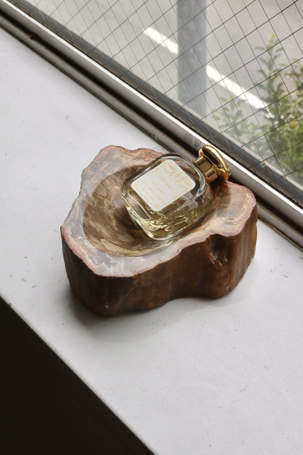 OAK ” Petrified Wood Accessory Tray - M #411