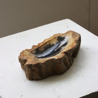 " OAK ” Petrified Wood Accessory Tray - M #403