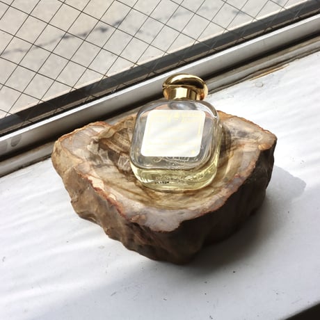 " OAK ” Petrified Wood Accessory Tray - S #429